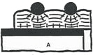 Ydnac